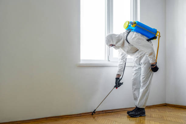 Best Emergency Pest Control  in Rock Falls, IL